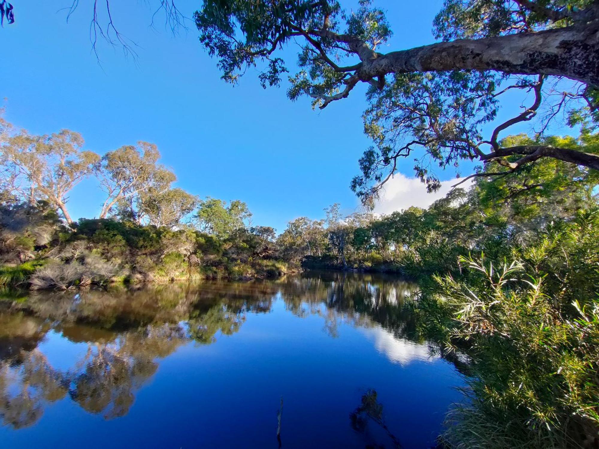 Severn River Cottages Severnlea 外观 照片